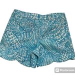 Lilly Pulitzer Palmita Stretch Shorts Scalloped Succulent Blue Sz 2 New NWT $70 Photo 1