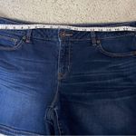 STYLUS Dark Blue Jean Shorts Size undefined Photo 2