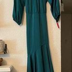 NWT Sachin + Babi Emerald Backless Off Photo 1