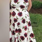 Hearts and Roses Swing Pin Up Tulle Trim Dress Graffiti Rose White, US 14 White Photo 0