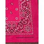 Hot Pink Paisley Print Cotton Bandana Pocket Square Hankie Kerchief His/Her Photo 4