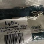 Kipling  Creativity Pouch Dynamic Beetle Photo 0