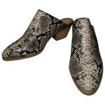 Splendid  Size 6.5 Hailee Faux Vegan Leather Snake Python Slip On Heels Mules Photo 1