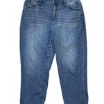 Terra & Sky  Stretch Skinny Jeans Elastic Back Panel Blue 1X 16W-18W Photo 0