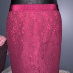 Ann Taylor  Size 10P Lace Pencil Skirt Photo 1