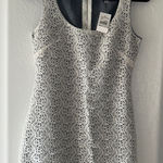 Velvet Torch  Black and White Patterned Mini Dress Photo 0