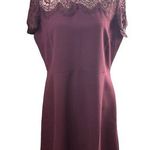 Maison Jules  maroon lace top with cream collar size XL knee length dress. Photo 0