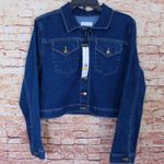 Calvin Klein  | Waist Length Blue Denim Jacket Photo 0