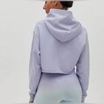 Aritzia  TNA Cozy Fleece Boyfriend Cropped Hoodie Size 1. Photo 1