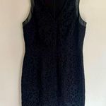 Cynthia Steffe Women’s  V-Neck Lace With Leather Trim Black Dress Size 12 Photo 0