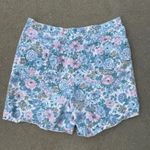 VTG 90s Backroads Blues PLUS SIZE blue pink floral high waist mom denim shorts Photo 2