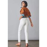 Anthropologie NWT Pilcro The Slim Boyfriend Jeans Size 32. A42 Photo 1