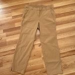 Lane Bryant Women's Plus 16 Straight Leg Pants Tan Stretch Travel Trousers Photo 0