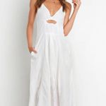 Petal and Pup Midi Dress Photo 0