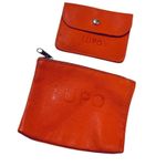 Lupo orange two Photo 0