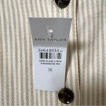 Ann Taylor NWT Toasted Oat Striped Balloon Sleeve Button Front Midi Dress Sz 16 Photo 4