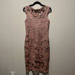 Tadashi Shoji  Floral Lace Illusion Sequin Knee Length Dress, Blush/Pink, Size 6 Photo 13