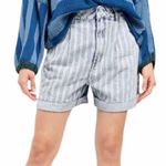 Free People  We the Free Dogtown Striped Cut Off Denim High Rise Shorts Size 25 Photo 1