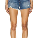 AGOLDE  Parker Short in Dark Swapmeet size 25 Photo 0