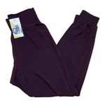 Halara  | Dark Berry Purple High-Waisted Jogger Pants Photo 0