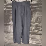 Urban Outfitters NWOT  Blue Stripe Cropped High Waist Pants Photo 1