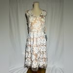 Eliza J Embroidered Mesh Fit & Flare Dress | 12 NWT Photo 2