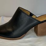 Madewell The Harper Mule in True Black Photo 11