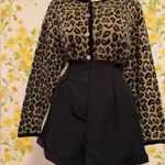 OVI high waist dressy shorts in black size M Photo 2