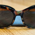 PEEPERS Tortoise Shell Cat Photo 0