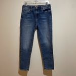 Driftwood  Size 28 Gizelle Classic Fit Girlfriend Denim Jeans Photo 1