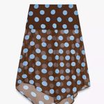 ZARA new with tags Brown and Blue Polka Dot Skirt Photo 1