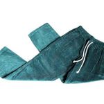 Aerie Greenish Blue Corduroy Straight Leg Pants Photo 0