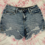Aerie  Denim Shorts Photo 0