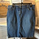 Villager  Denim Skirt Photo 0