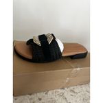 Gentle Souls  by Kenneth Cole Women's Hudson Flat Sandal, Black Raffia, 9 Photo 3