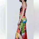 ZARA  farmers market dress. S-M Photo 3