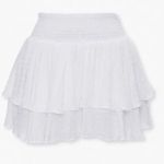 Forever 21 Swiss Dot Ruffle Mini Skirt Photo 0