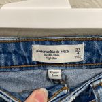 Abercrombie & Fitch  Curve Love 80s Mom High Rise Distressed Jeans Size 4Short/27 Photo 2