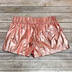 Beach Riot Sport Rose Gold Elastic Waistband Zipper Mesh Inserts Shorts Small Photo 4
