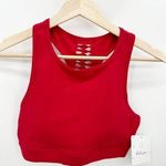 Whisper Berry Stretch Stylish Slit Back Sports Bra Women's Size Medium NWT Photo 0