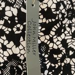 John Miller Collection Women Dress 👗 size 12 brand new with tag Photo 1