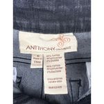 Antthony Originals Womens Black Denim Jeans Size 6 Cotton/Polyester/Spandex Blen Photo 3