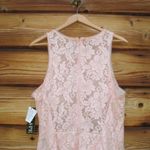 XScape NWT  Fit & Flare Lace Mini Dress Photo 8