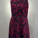 Loft CLEARANCE! Mulberry Toile Patterned Sleeveless Dress Size 10 Like New Photo 0