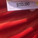 Wild Fable FINAL MARKDOWN  window shade style red velvet dress large nwt Photo 3