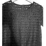 American Vintage Vintage Black Floral Lace Semi-Sheer Striped Short Sleeve Top Photo 5