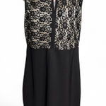 Roommates  Black Sleeveless with Lace Top Dress Photo 0