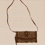 Etienne Aigner Aigner  brown/ tan wristlet with shoulder strap Photo 0