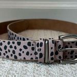 Universal Threads  Leopard Spot Belt Photo 0