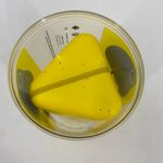 Snap Chat Spectacles 1st generation Case + Charger incl Black Photo 8